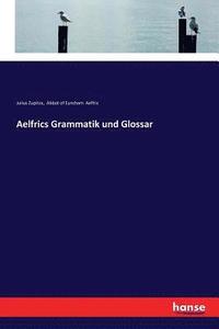 bokomslag Aelfrics Grammatik und Glossar