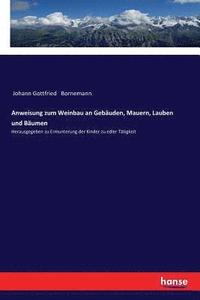 bokomslag Anweisung zum Weinbau an Gebuden, Mauern, Lauben und Bumen