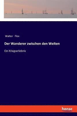 Walter Flex - Wanderer zwischen den Welten, Häftad