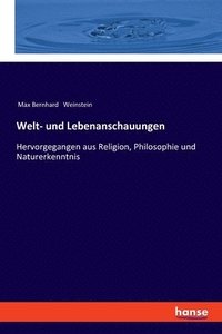 bokomslag Welt- und Lebenanschauungen