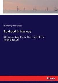 bokomslag Boyhood in Norway