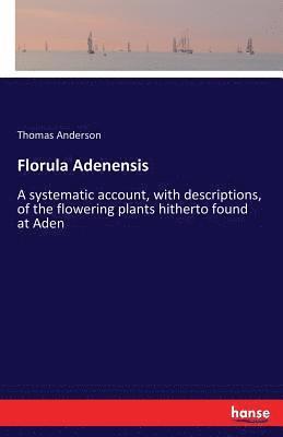 bokomslag Florula Adenensis