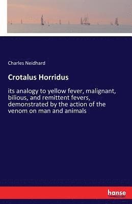 Crotalus Horridus 1