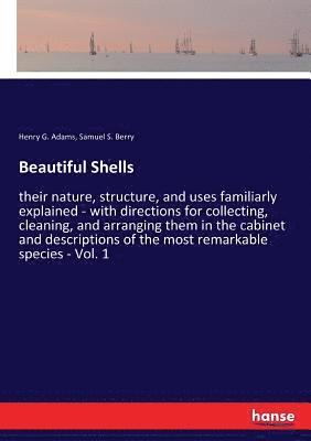 bokomslag Beautiful Shells