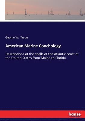 bokomslag American Marine Conchology