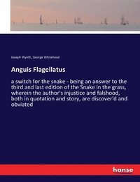 bokomslag Anguis Flagellatus