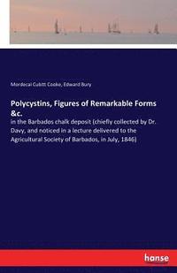 bokomslag Polycystins, Figures of Remarkable Forms &c.