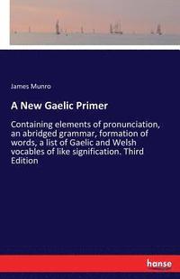 bokomslag New Gaelic Primer