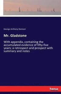 bokomslag Mr. Gladstone