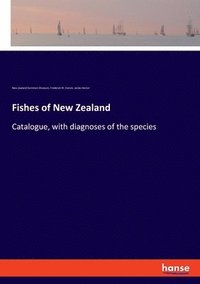 bokomslag Fishes of New Zealand