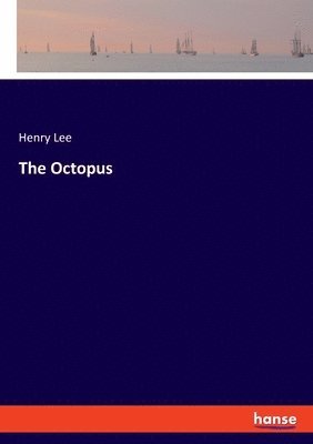 bokomslag Octopus