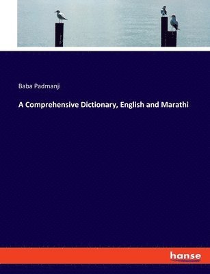 bokomslag A Comprehensive Dictionary, English and Marathi