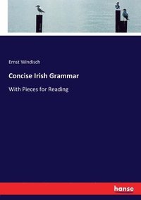 bokomslag Concise Irish Grammar