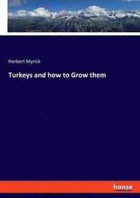 bokomslag Turkeys and how to Grow them