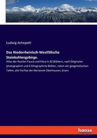 bokomslag Das Niederrheinisch-Westfälische Steinkohlengebirge.: Atlas der fossilen Fauna und Flora in 42 Blättern, nach Originalen photographirt und 4 lithograp