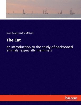 bokomslag Cat