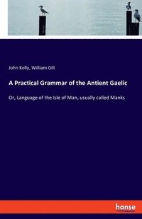 bokomslag Practical Grammar of the Antient Gaelic
