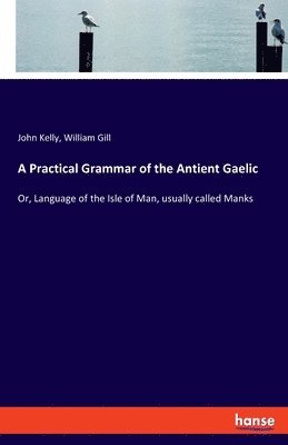 bokomslag Practical Grammar of the Antient Gaelic