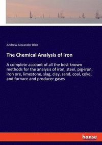 bokomslag The Chemical Analysis of Iron
