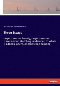 bokomslag Three Essays