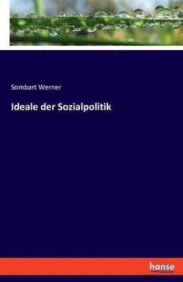 bokomslag Ideale der Sozialpolitik