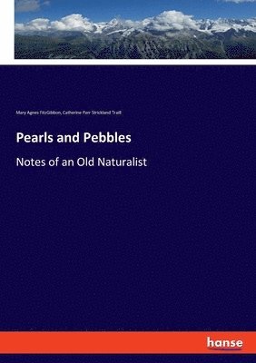 Pearls and Pebbles 1