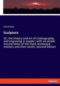bokomslag Sculptura