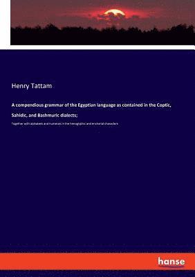 Henry Tattam - compendious grammar of the Egyptian language as contained in the Coptic, Sahidic, and Bashmuric dialects;, Häftad