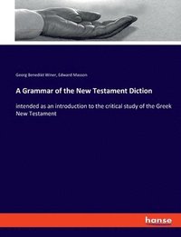 bokomslag A Grammar of the New Testament Diction