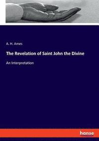 bokomslag Revelation of Saint John the Divine