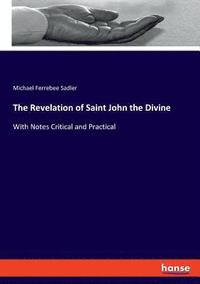 bokomslag The Revelation of Saint John the Divine