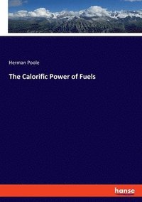 bokomslag The Calorific Power of Fuels