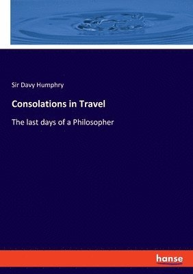bokomslag Consolations in Travel