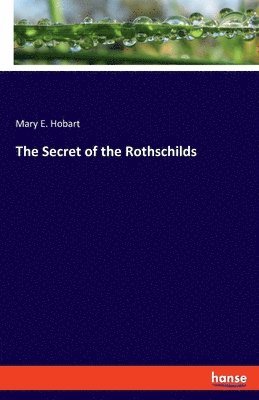 bokomslag The Secret of the Rothschilds