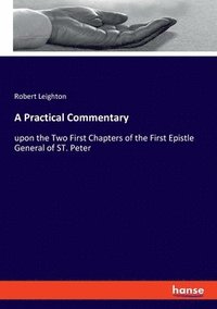 bokomslag Practical Commentary