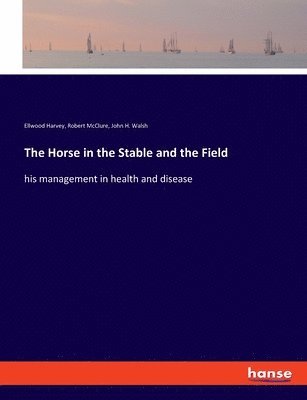 Horse in the Stable and the Field