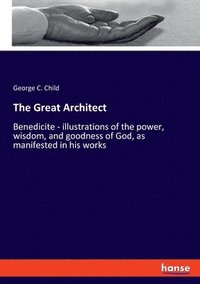 bokomslag Great Architect