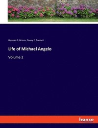 bokomslag Life of Michael Angelo