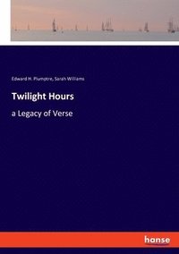 bokomslag Twilight Hours
