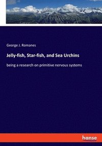 bokomslag Jelly-fish, Star-fish, and Sea Urchins