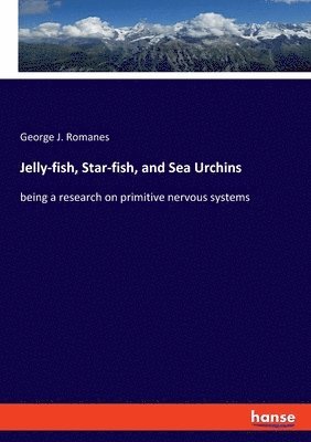 Jelly-fish, Star-fish, and Sea Urchins 1