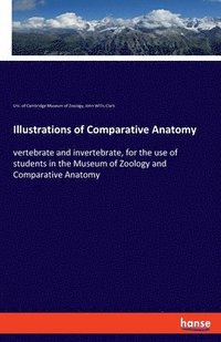 bokomslag Illustrations of Comparative Anatomy