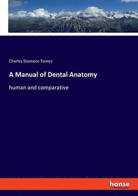 bokomslag A Manual of Dental Anatomy