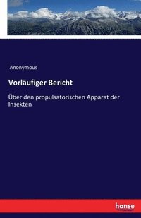 bokomslag Vorläufiger Bericht