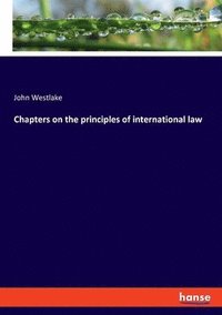 bokomslag Chapters on the principles of international law