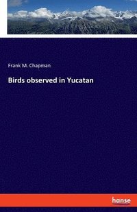 bokomslag Birds observed in Yucatan