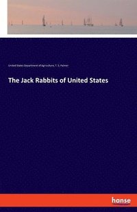 bokomslag Jack Rabbits of United States
