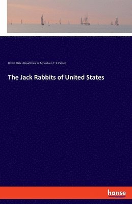 bokomslag Jack Rabbits of United States
