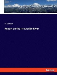 bokomslag Report on the Irrawaddy River