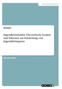 bokomslag Jugendkriminalität. Theoretische Ansätze und Faktoren zur Entstehung von Jugenddelinquenz
